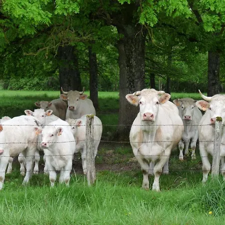 Holiday home Les Colchiques