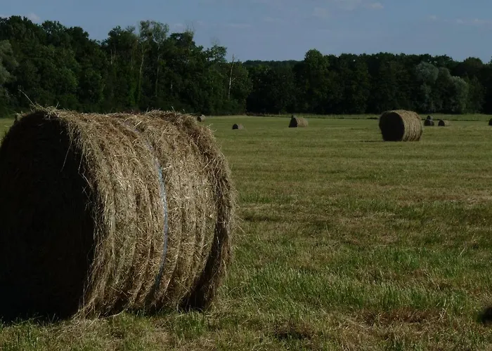 Holiday home Les Colchiques Racines
