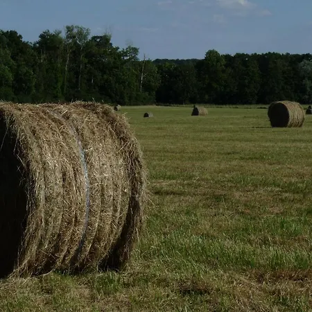 Tatil Evi Les Colchiques Racines