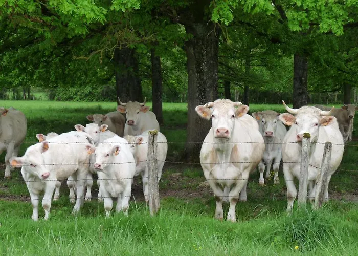 Casa vacanze Les Colchiques