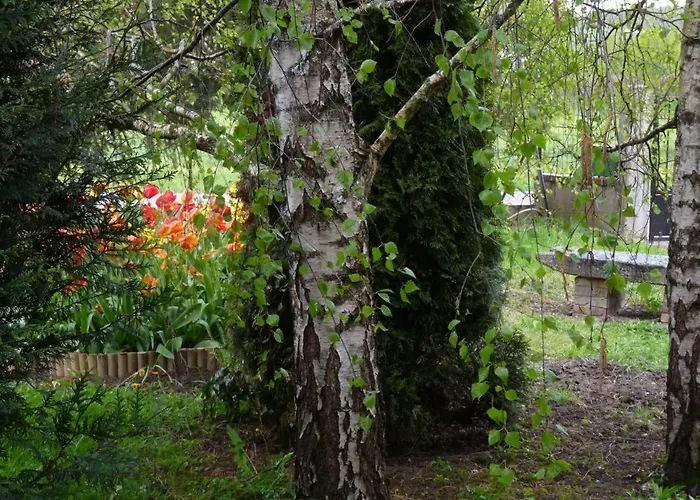 Les Colchiques Casa vacanze Racines